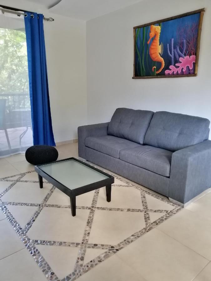 Garza Tigre Apartamentos Cobano Dış mekan fotoğraf