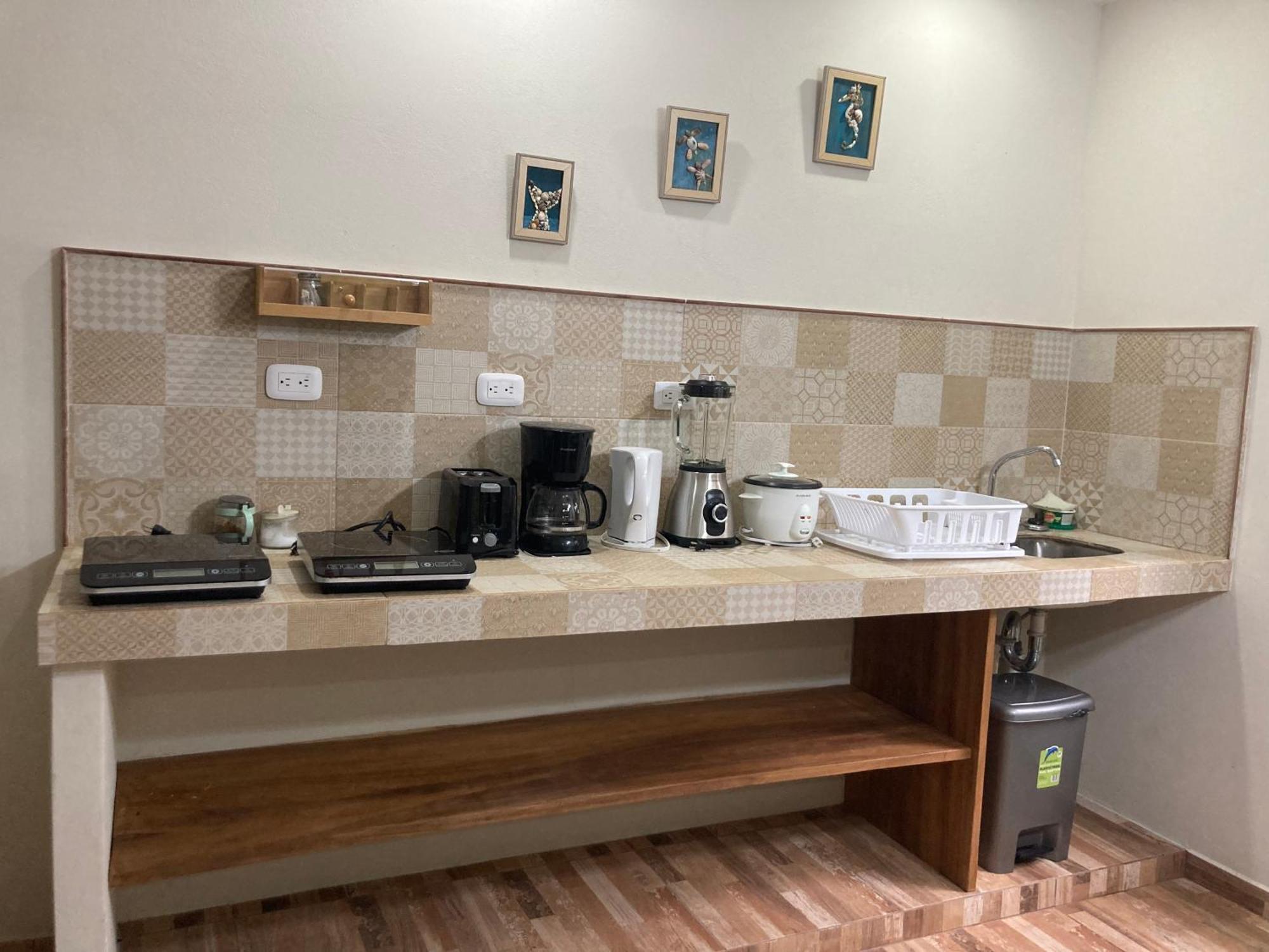 Garza Tigre Apartamentos Cobano Dış mekan fotoğraf